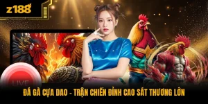Đá Gà Cựa Dao - Trận Chiến Đỉnh Cao Sát Thương Lớn